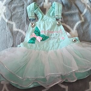 Mint Tutu Overall Dress